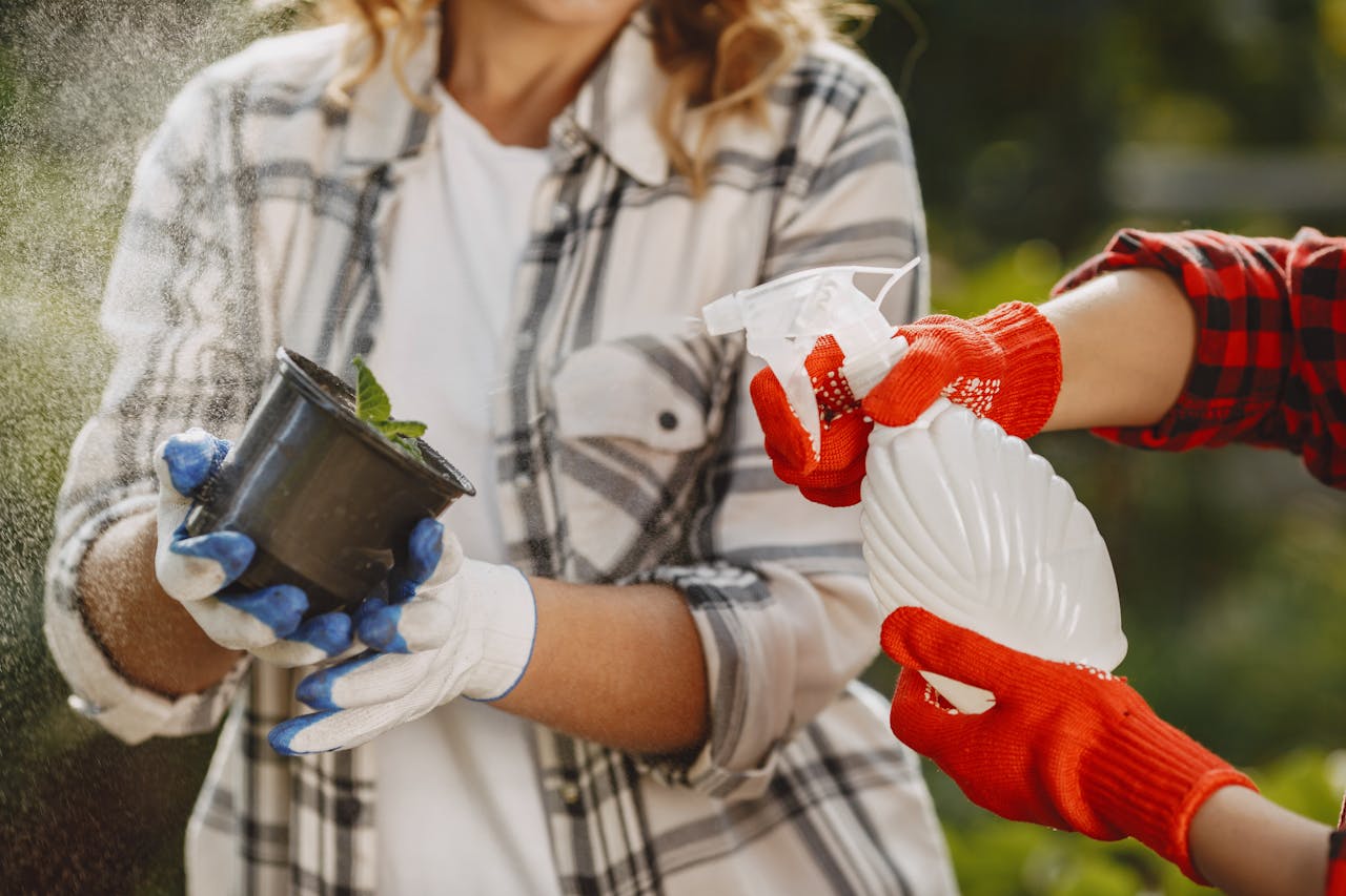 Close-up of gardeners spraying potted plant with water outdoors.