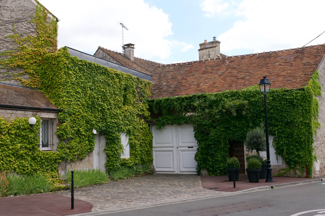 Rustic house with ivy-covered facade and cobblestone entrance, showcasing vintage charm.