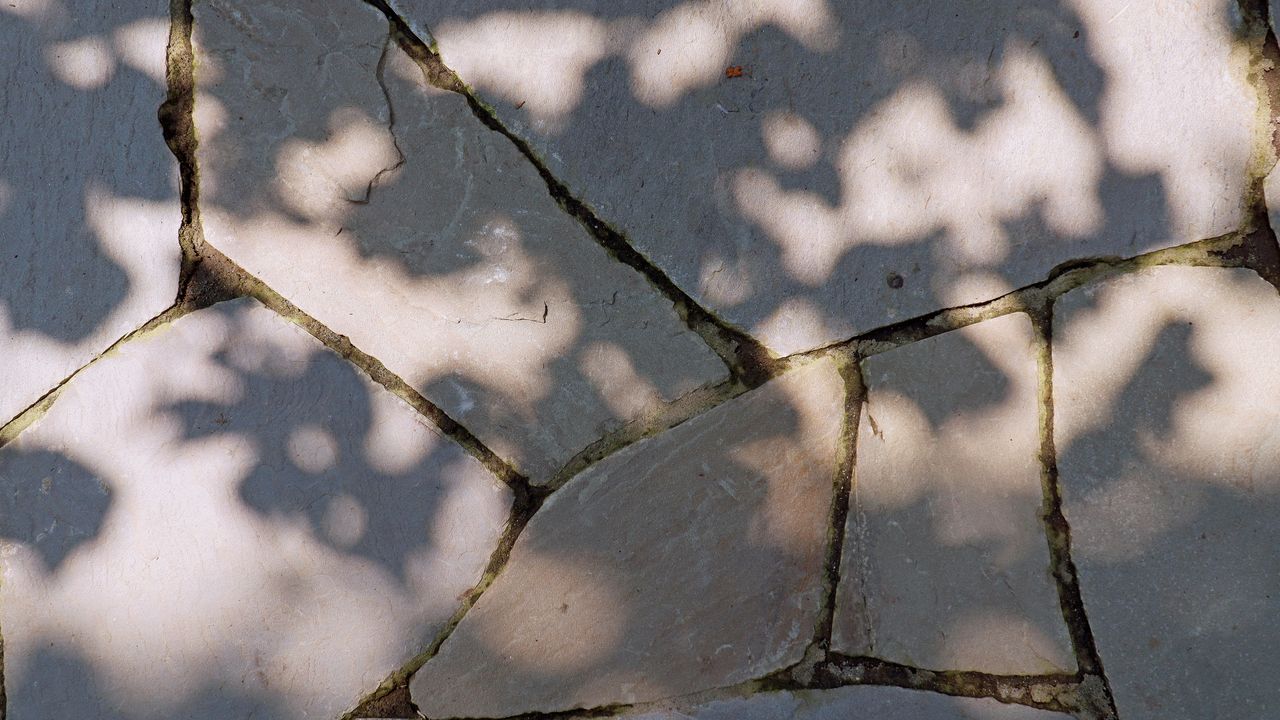 Sun-dappled shadows cast on cracked stone pavement, creating a textured outdoor scene.